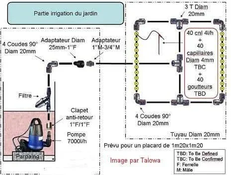 11.webp