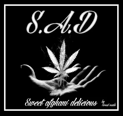 1135512128_sweetafghanidelicoious.PNG.104c9b2dbec51b3683e0e55f97bb65b7.webp