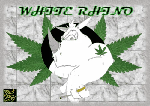 113819913_whiterhionghs.PNG.d41d5f2255cee1455705fe258fb16817.webp