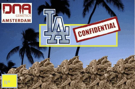 1156908929_LAconfidential-dnagenetics.PNG.35940b41c5b9a3e713528d9b5e3e3b56.webp