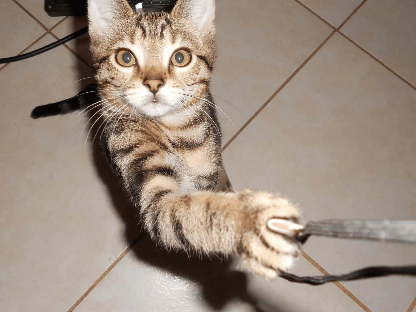 11_cleaned.webp