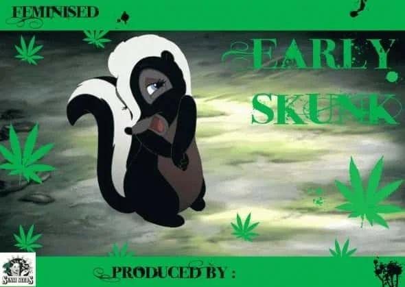 132992838_earlyskunksensiseeds3.JPG.6229ba34bc0a37a1cd27e87c31cd3d86.webp