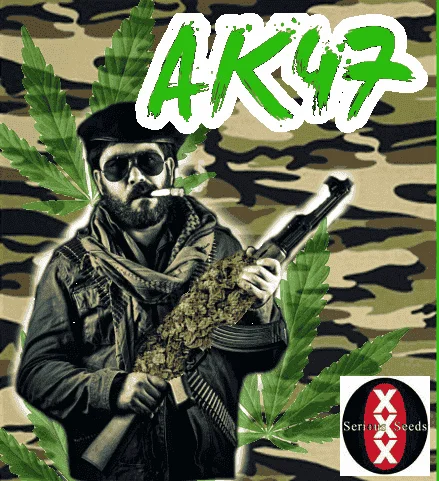 1407876656_ak47seriousseeds.PNG.3854e25701a560c7df447a8422c5d349.webp