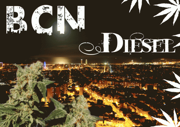 1549945825_bcndiesel.GIF.d3b0a063b3a7e9a2d3054363ce7b9d00.GIF