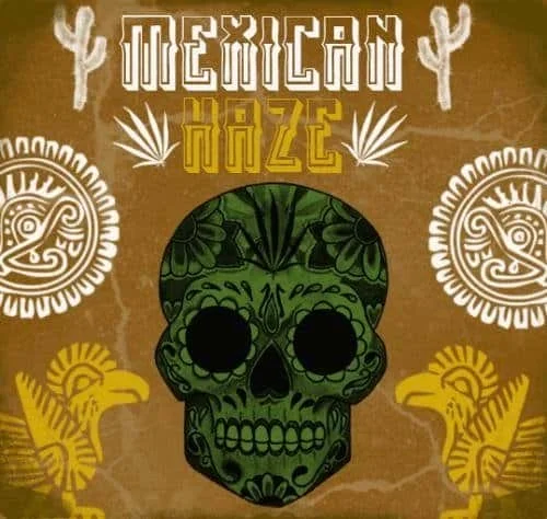 1823215604_mexicanhaze.JPG.107a8fd5ddc89e6ad51d867e7f4d395b.webp