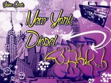 182804347_newyorkcitydieselvisionseeds.JPG.36ade690c881ea4b1b4e3799f7e625bf.webp