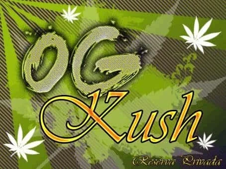 1867975084_ogkushreservaprivada.JPG.987db1c9f08fd6b8384da7634e87b309.webp