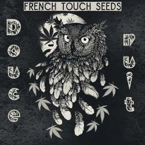 1912484533_doucenuitfrenchtouchseeds.JPG.d375e0d3743eb43e3f9fbfa4904b0274.webp