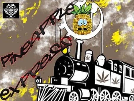 1930002813_pineappleexpressg13.JPG.471e4d8ec1bb6fe398badbf86f4383b0.webp