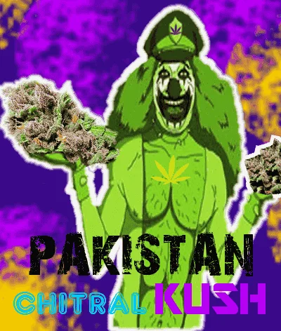 2108999213_pakistanchitralkush.PNG.e71caed54963ecb10ad4b94998c493b4.webp