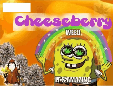 2147447828_chesseberrysannies.PNG.80d14a0372c86e0e3dd14fb2b1c72b53.webp