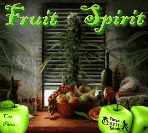 236257862_fruitspiritrqs.PNG.772a3ebe61bc4db0b955e8a9254bca52.webp