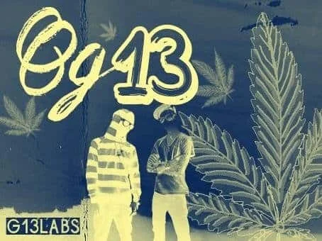 256766090_OG15G13labs.JPG.2f397fbde81118d56d0d0d3b4905b96f.webp