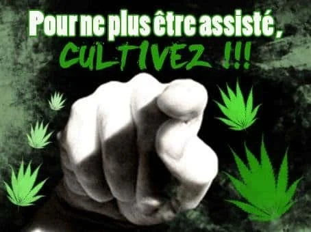298979566_inconnue7.JPG.e0618222a359cad86cb8aa9ed5d3e177.webp