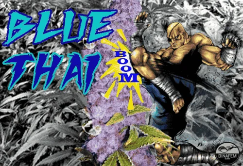 373411926_bluethaidinafem.PNG.5472c95e6af5ef89c07702352bce5461.webp
