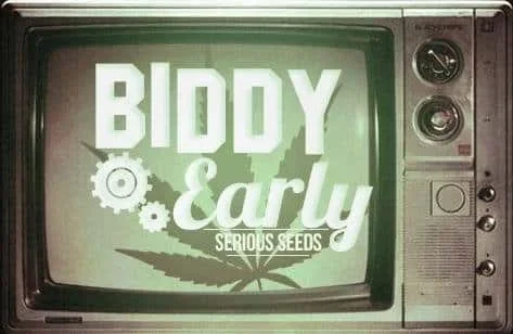 420417918_biddyearlyseriouseeds.JPG.5e66e4d60ec9f3d17562a2d0bef35128.webp