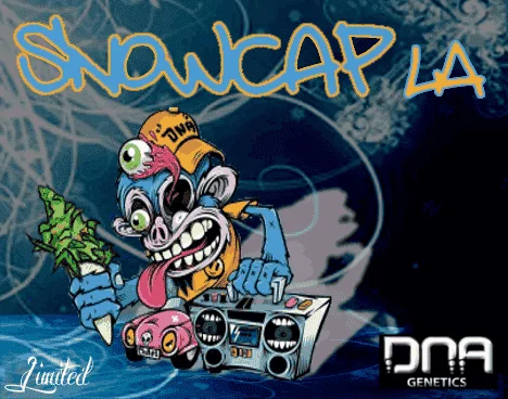 430304692_snowcapLA-dnagenetics.PNG.cf43f3919889afdb915e2bc9e1e4a7ad.webp