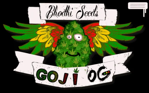 434211342_gojiogboddhiseeds.PNG.183ff3a269e5da1b9f1fa14e80e77ccc.webp