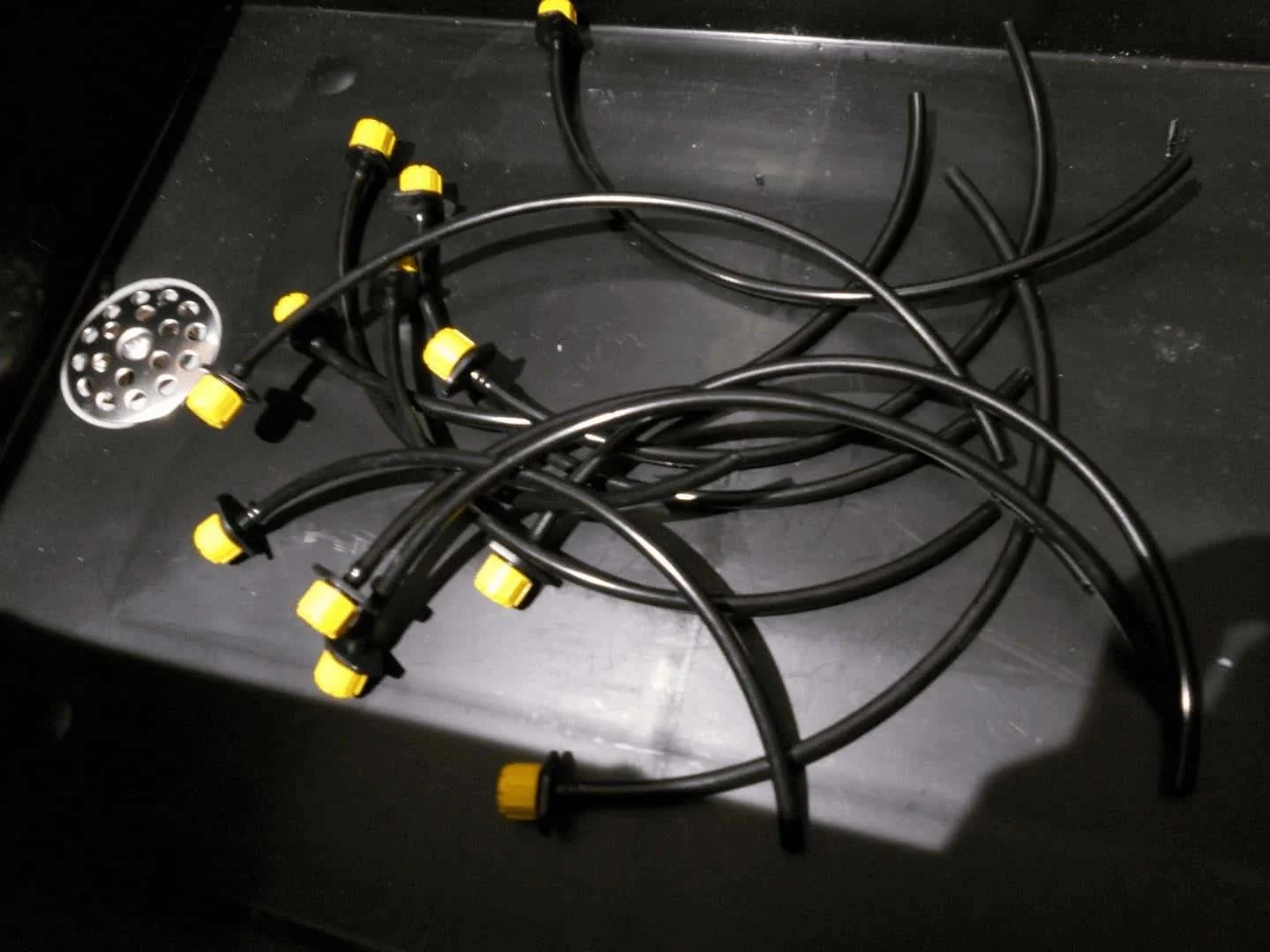 5_cleaned.webp