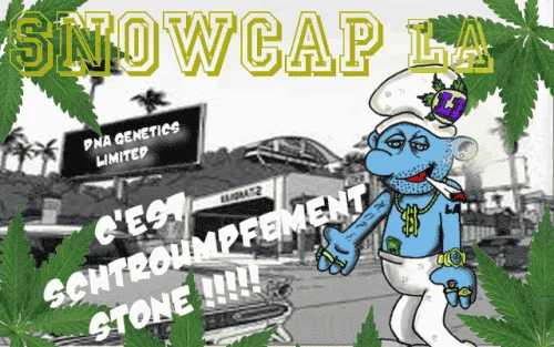 908949054_snowcapla.dnagenteticsPNG.PNG.8d088f29bab85145d1f06c6a171cc961.webp
