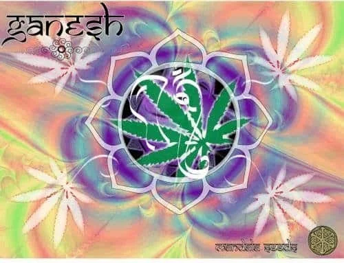 931739522_ganeshcolor.JPG.fd819e21a6cbd092c66b75ca93f85afa.webp