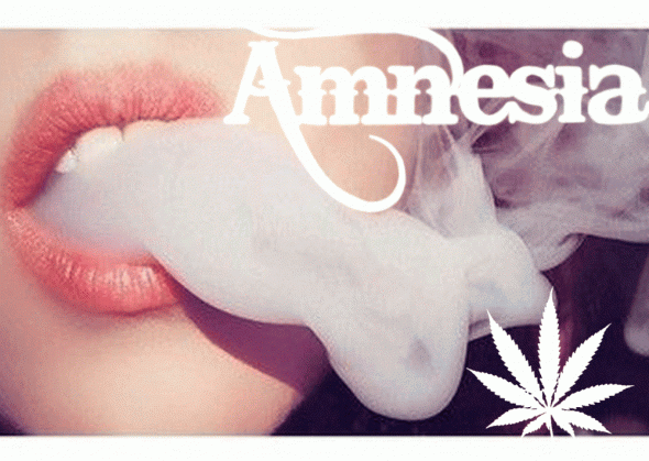 amnesia.GIF.f61104671dfcb8e41b961e462524b0ff.GIF