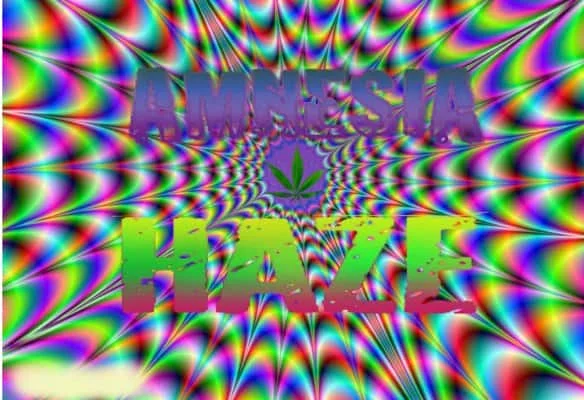 AmneziaHaze.jpg.a37c255d6108d51101abf128c2c1c93d.webp
