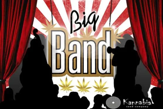 BigBand0.jpg.ad68a0e47c3c3e16221330b890a60136.webp