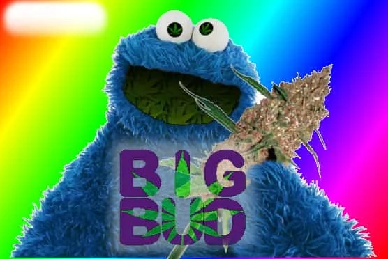 BigBud.jpg.968d36bedb36670ea2748224ef3fc266.webp