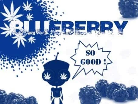 blueberry.JPG.5a3e0df2ffc180a3e6b083b3b7158e97.webp
