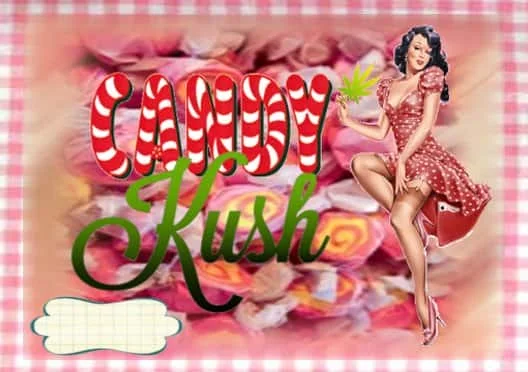 CandyKush1.jpg.01c7cc47759da17cee6dc5d1952a7046.webp