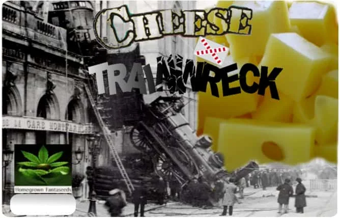 CheeseXTrainwrek.jpg.a1f6376d301c9ff703af40ec8b03dda7.webp