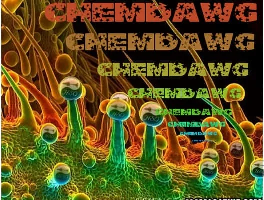 chemdawg.jpg.9253e75f122c52db42577cf844f71061.webp