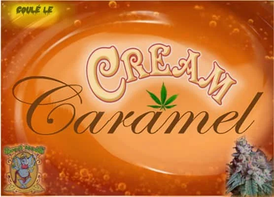 CreamCraramel.jpg.3a25c641610d100b37f243167182fd9d.webp