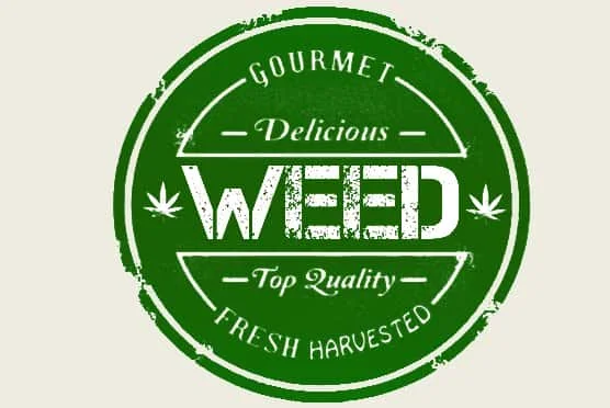 DELICIOUSWEED.jpg.3315df3fee64715d23e25cfbb40c88b9.webp