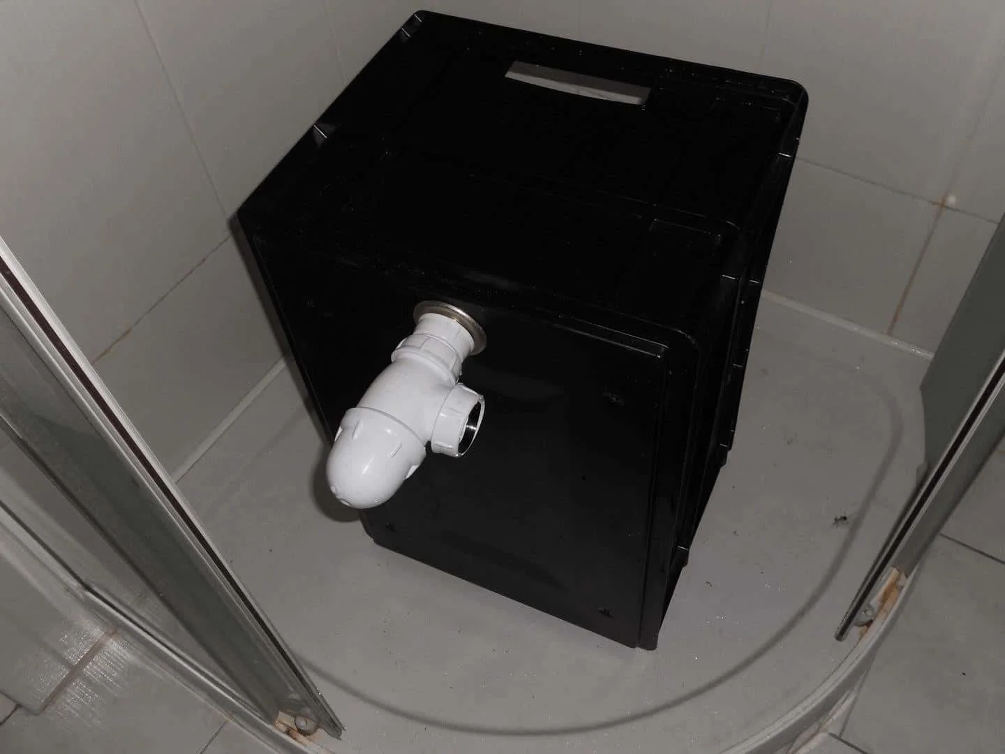 DSCN1746_cleaned.webp