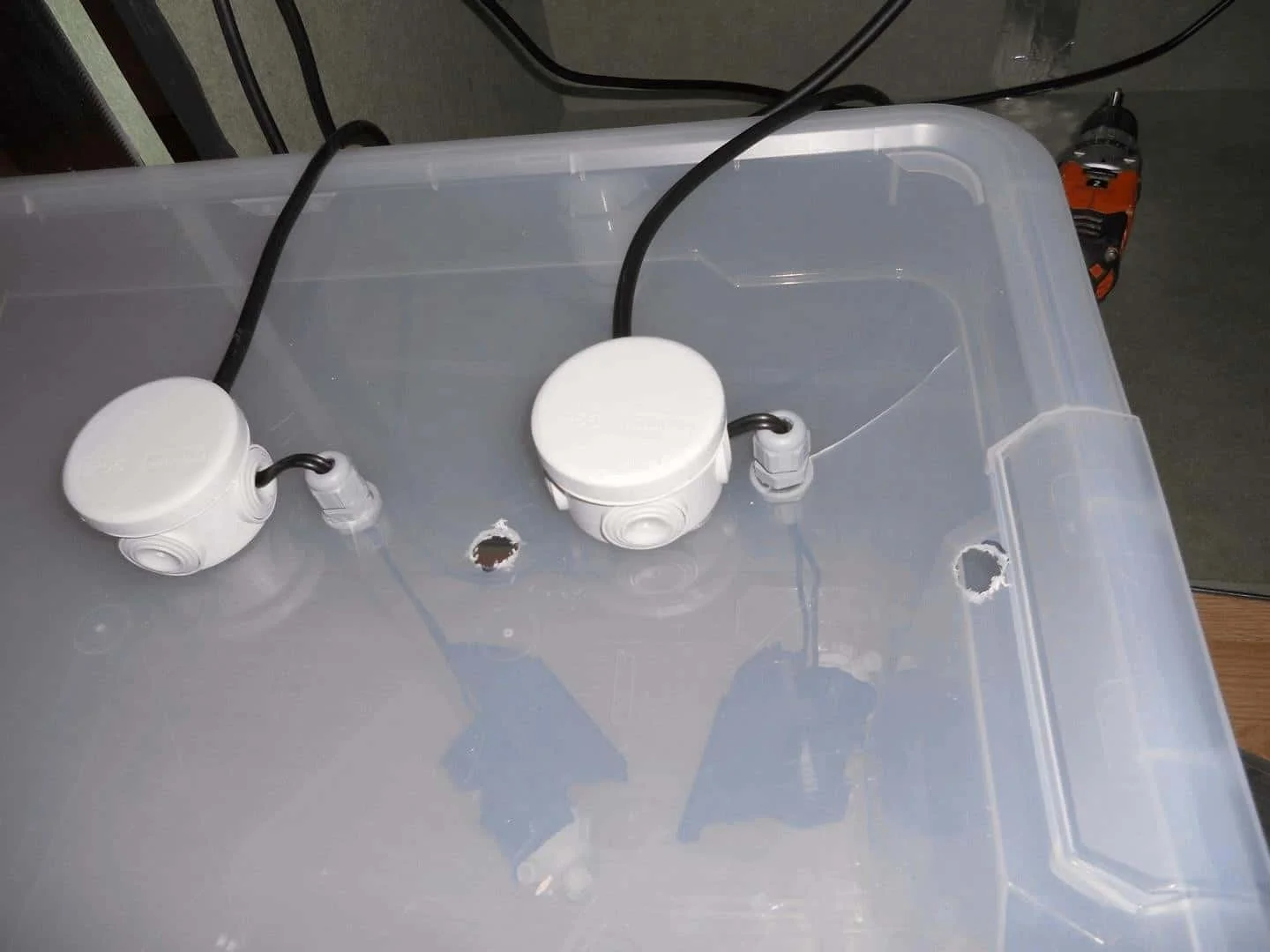 DSCN1841_cleaned.webp