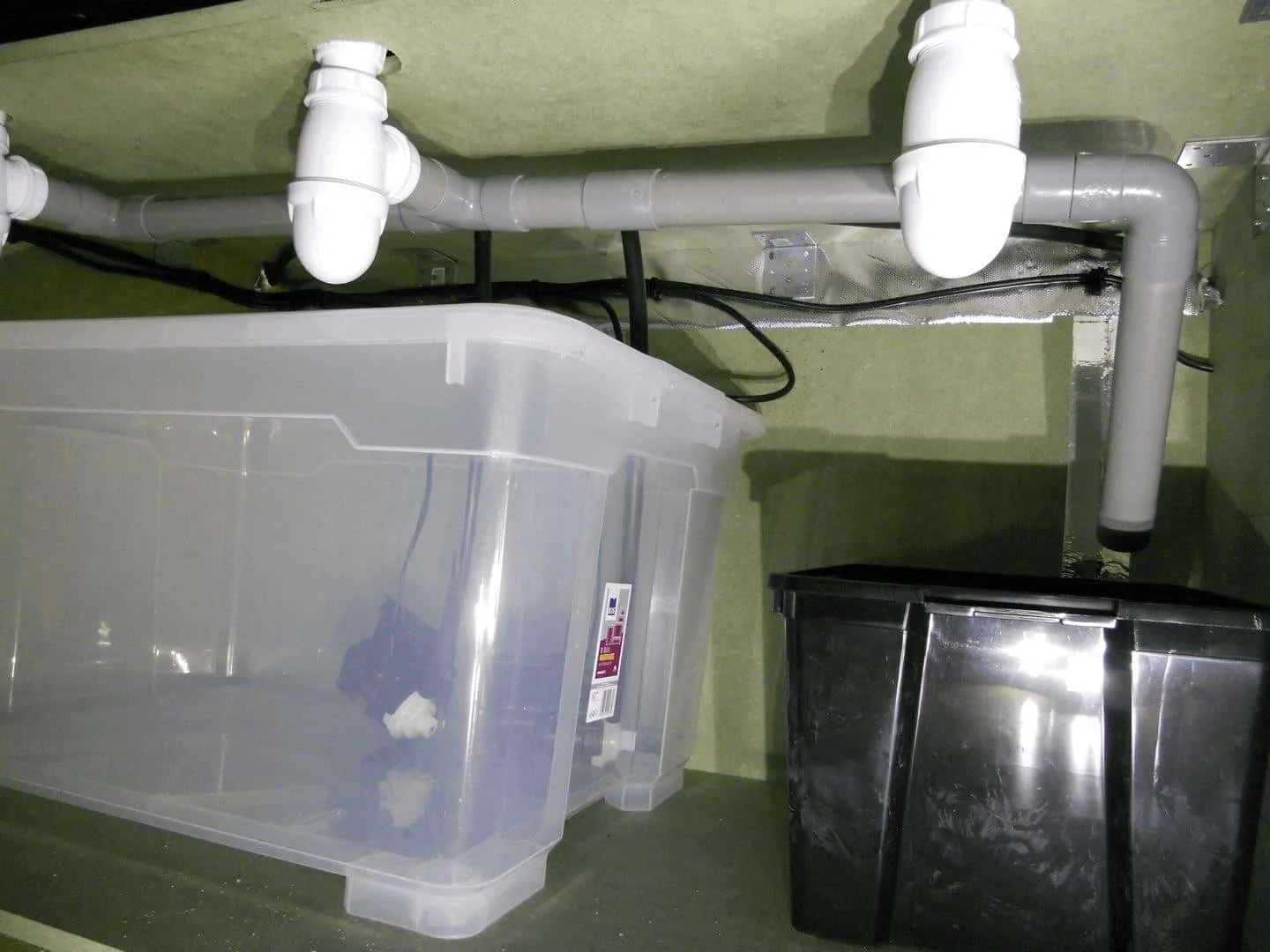 DSCN1850_cleaned.webp