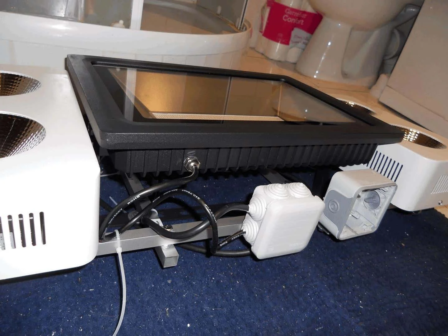 DSCN1871_cleaned.webp