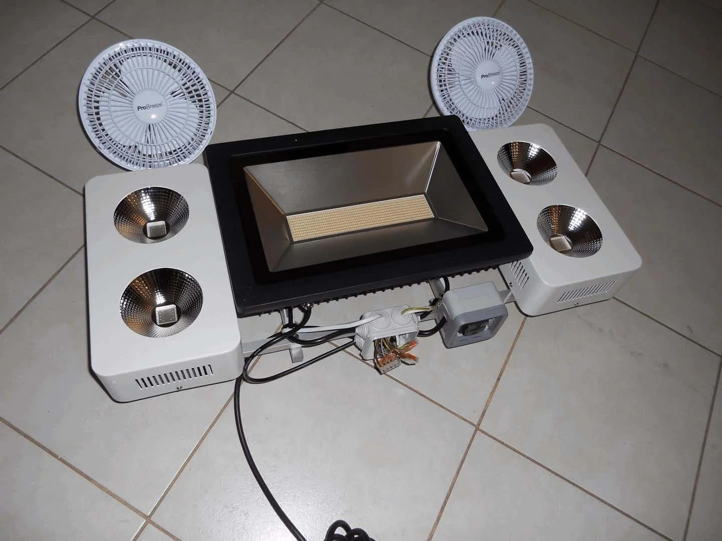 DSCN1878_cleaned.webp