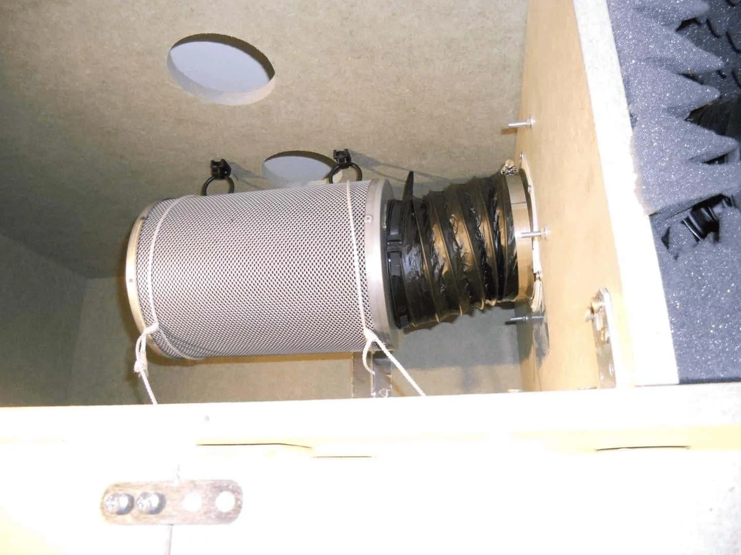 DSCN1952_cleaned.webp