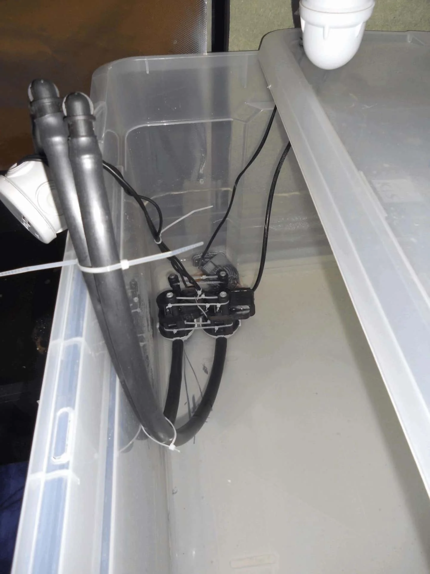 DSCN2115 (Copiiier).webp