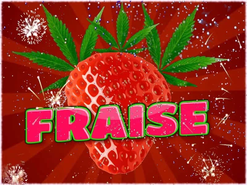 fraise.jpg.297e77a5c2c102fd24993703e207180e.webp