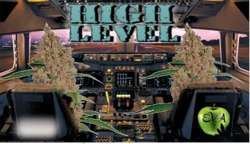 HighLevel.jpg.f4eca00aa409c6612e6c775ab69a3477.webp