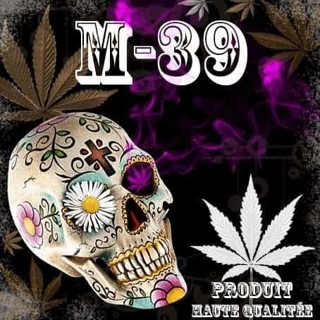 m-39.JPG.eedc39b3e10471d251cdd72b590e75df.webp