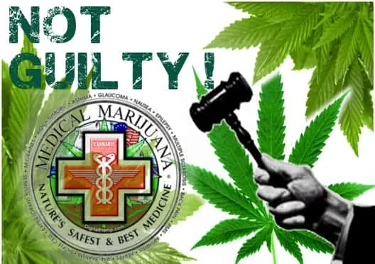 notguilty.jpg.f275dfcf2a536033ddf9e5282452e43c.webp