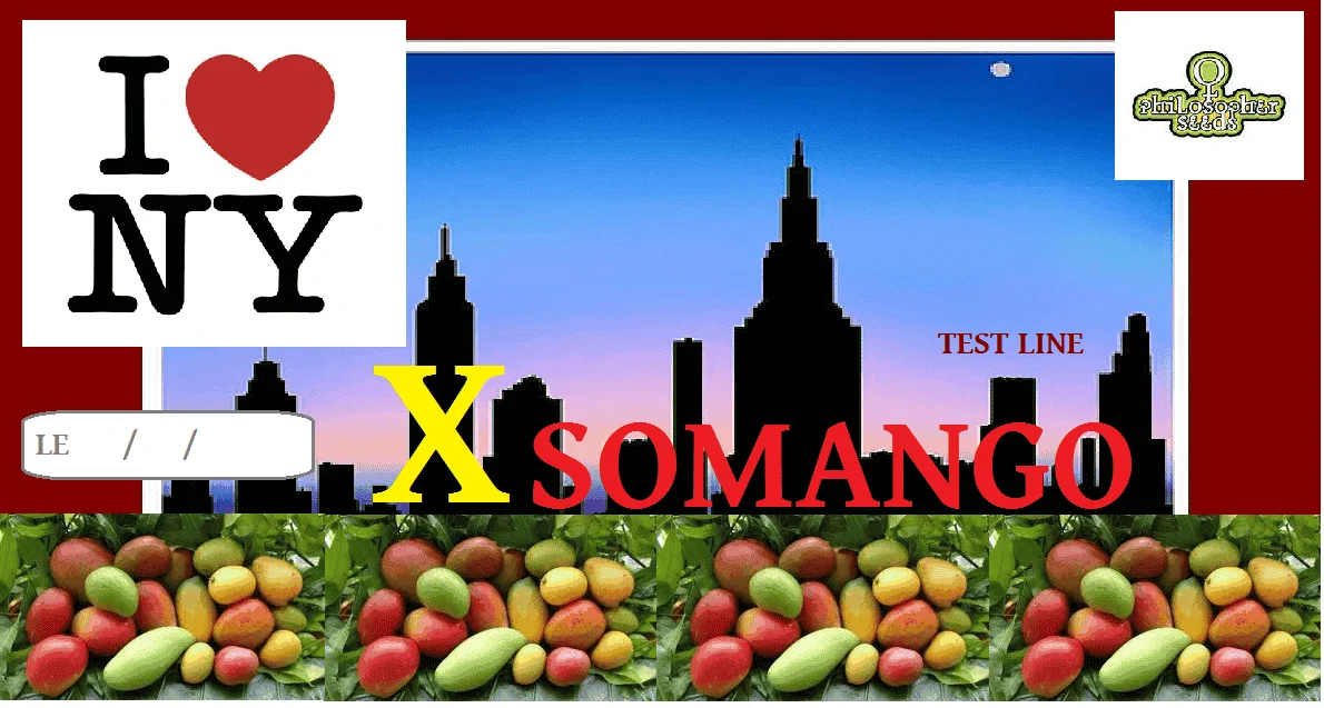 NYxSOMANGO.png.30a363bc3fcf96d9d0893ec480e1bf5a.webp