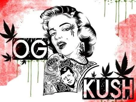 ogkush.JPG.880ef3476ab6849c36a0b33ee89d6bf7.webp
