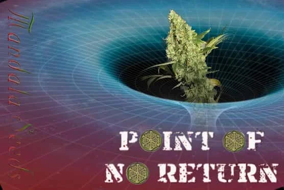 PointOfNoReturn.jpg.90b0f5fba366c7827b83c753274994c6.webp