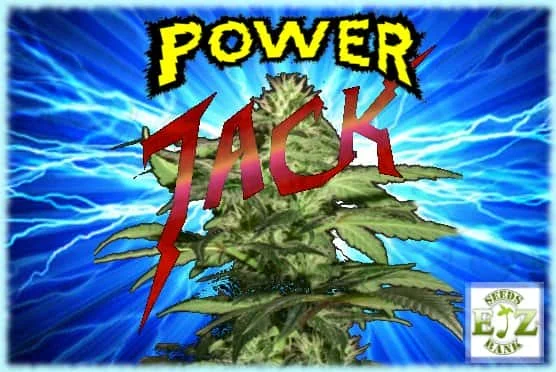 PowerJack.jpg.f6c23bf0d98401e2b4bf088db494e005.webp